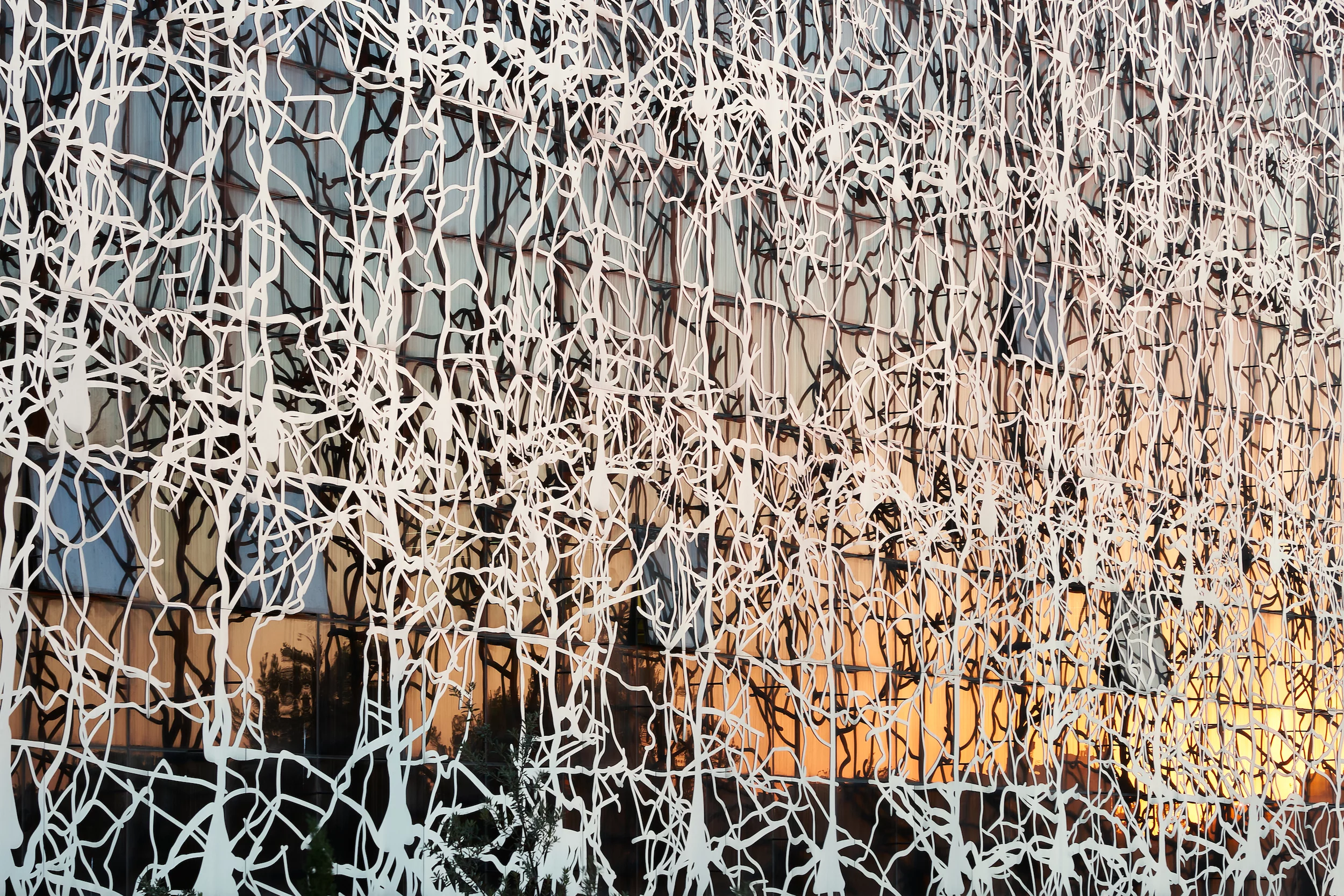 The Edmond and Lily Safra Center for Brain Science is defined by an eye-catching exterior that consists of 290 unique cast aluminum sections that have been laser cut to represent early 20th Century drawings by influential Spanish neuroscientist Santiago Ramón y Caja