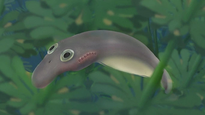 An illustration depicting a prehistoric lamprey hatchling, which looks much more like an adult than modern lamprey larvae