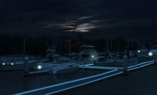 Lunabrite luminescent lighting strips