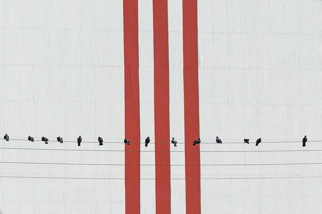 Honorable Mention, Open Theme. Three vertical lines and fourteen pigeons: 3.14 Pi