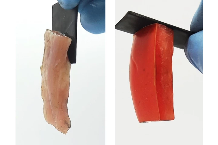 Scientists have used electroadhesion to reversibly bond soft materials such as raw chicken and tomato (pictured) to hard materials like tin, lead and graphite