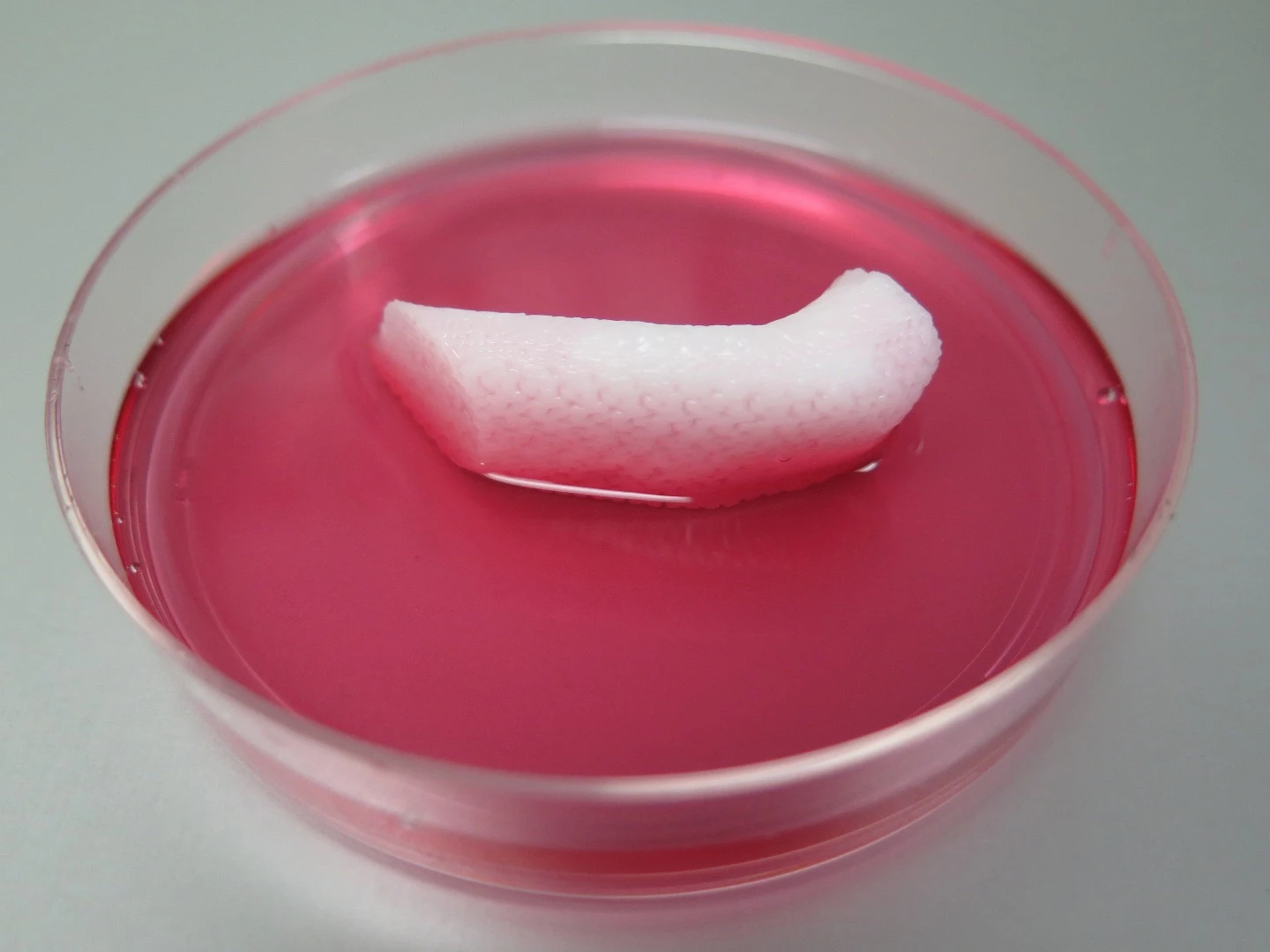 ITOP spouts water-based gels that contain the cells, along with biodegradable polymers arranged in a latticed pattern and a temporary outer structure