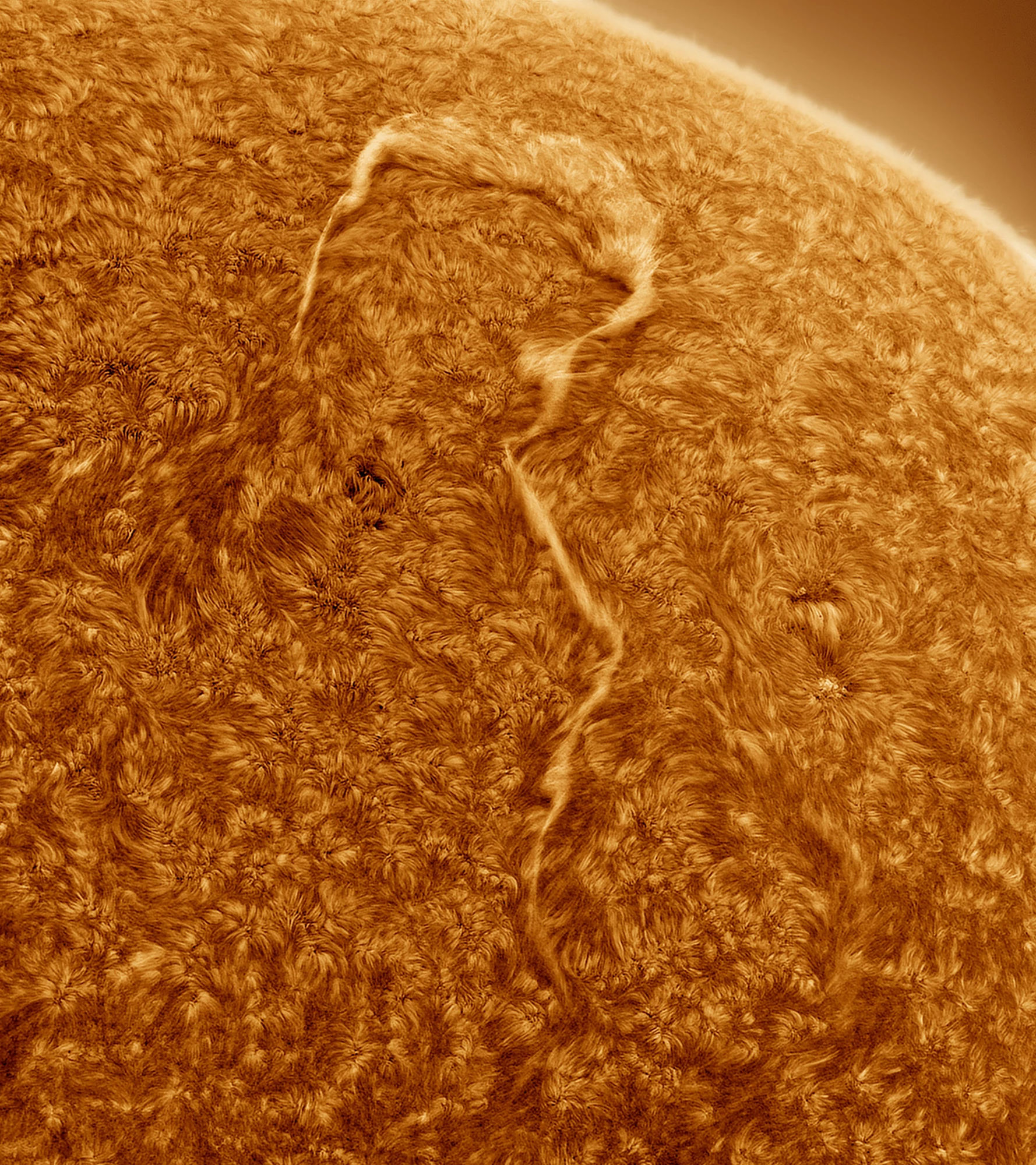 Our Sun, Winner. "A Sun Question"