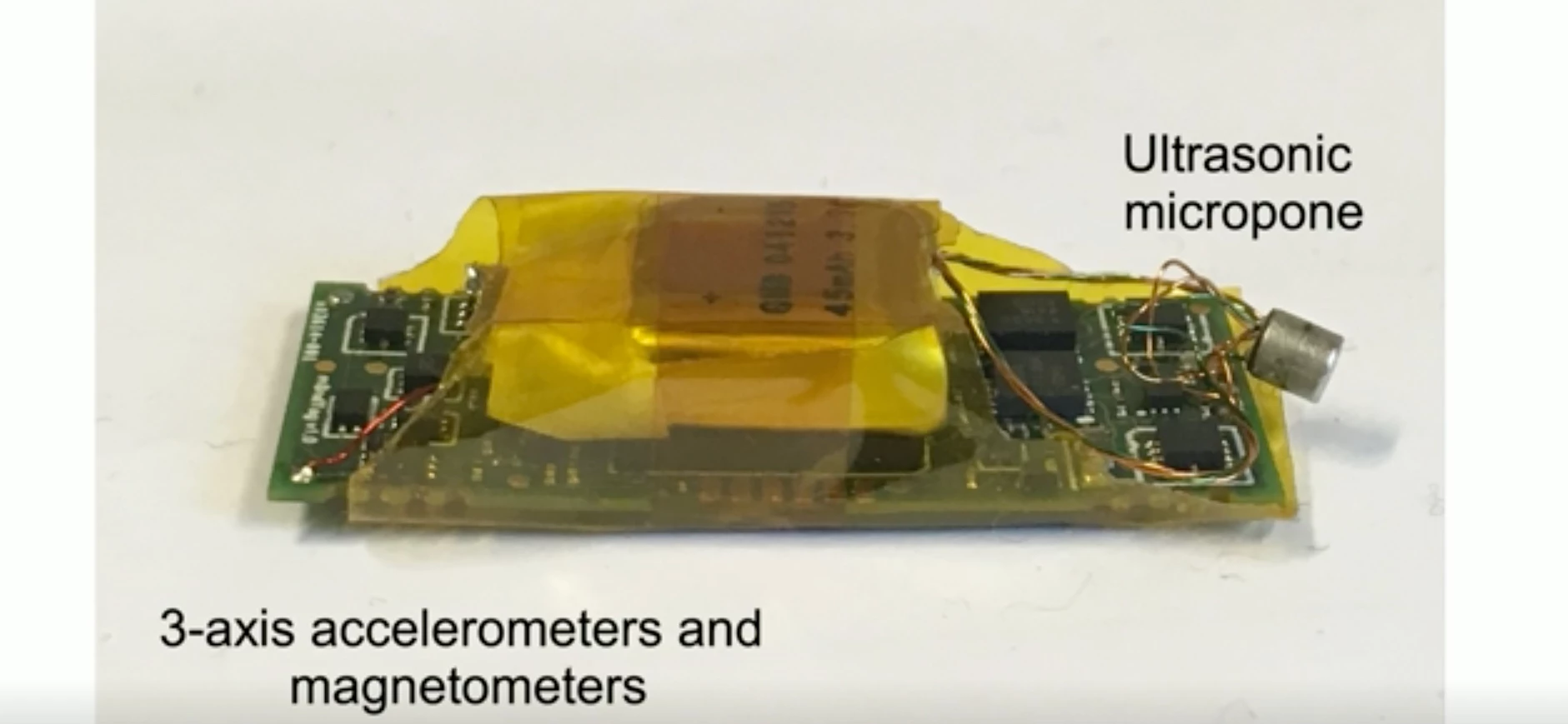 A close look at one of the back-mounted electronic tags