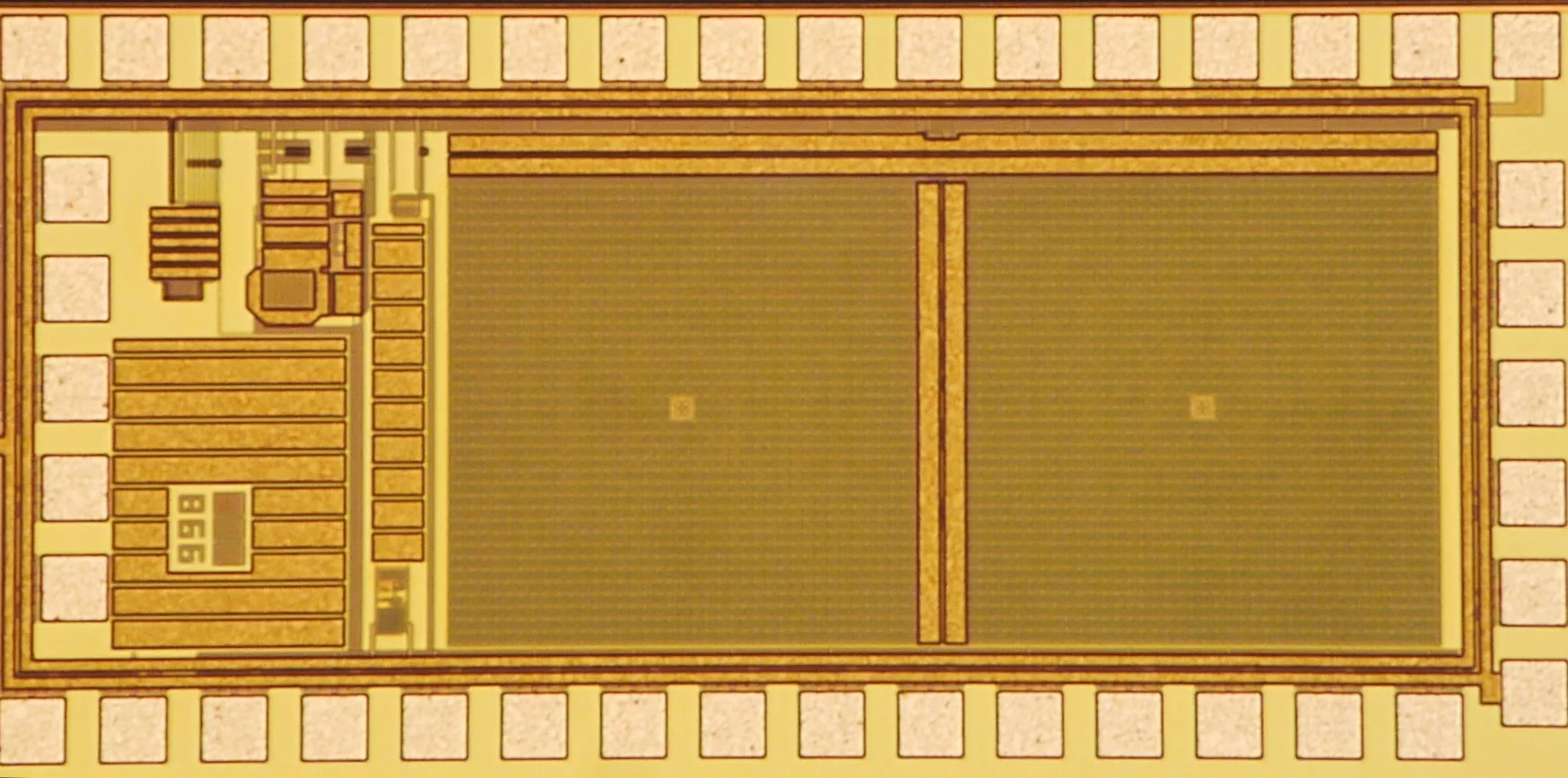 The PFCA is a pinhead-sized lens-free camera, that could prove very useful in scientific research and electronics (Photo: Patrick Gill)