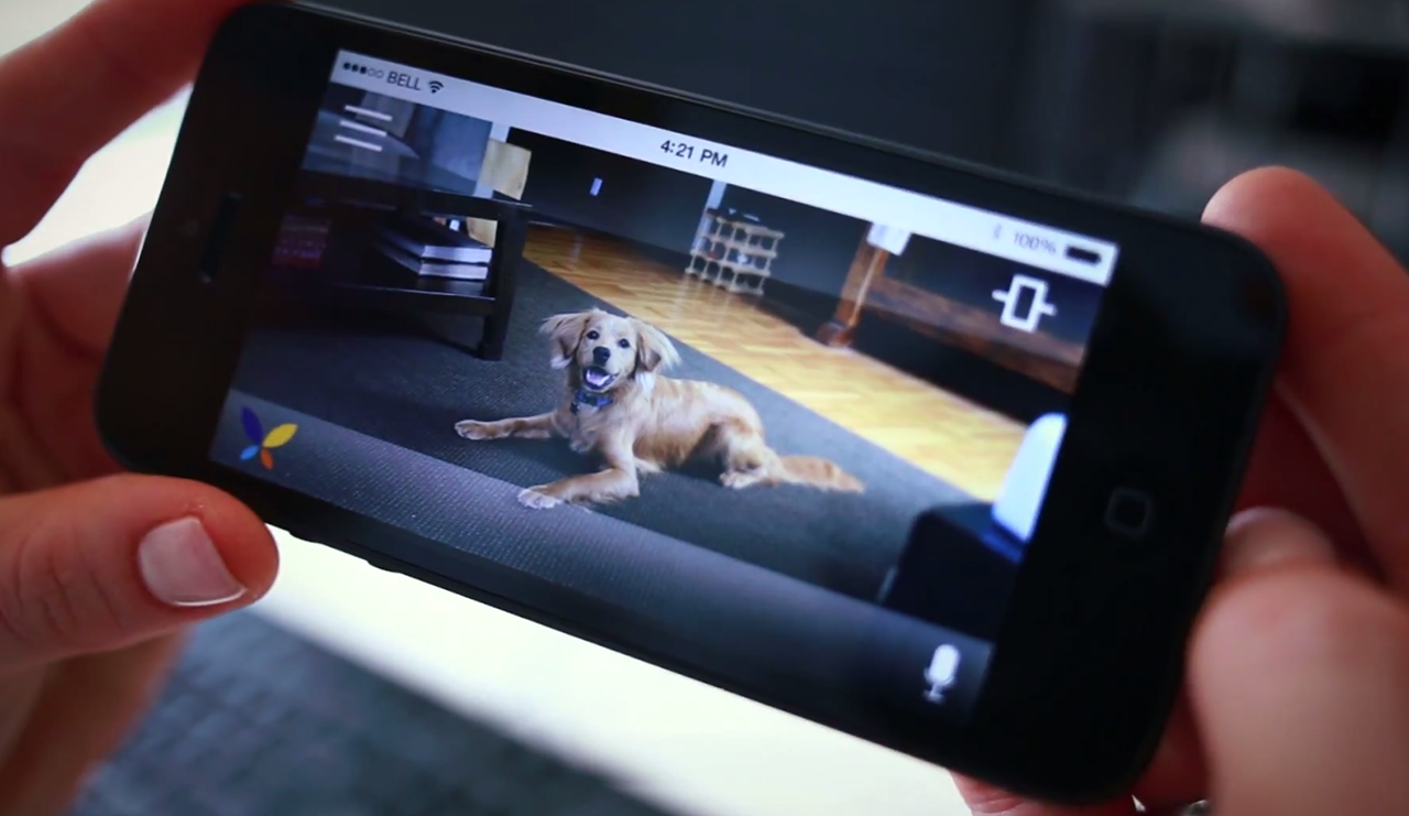 Butterfleye allows you to keep tabs on Fido while you're away