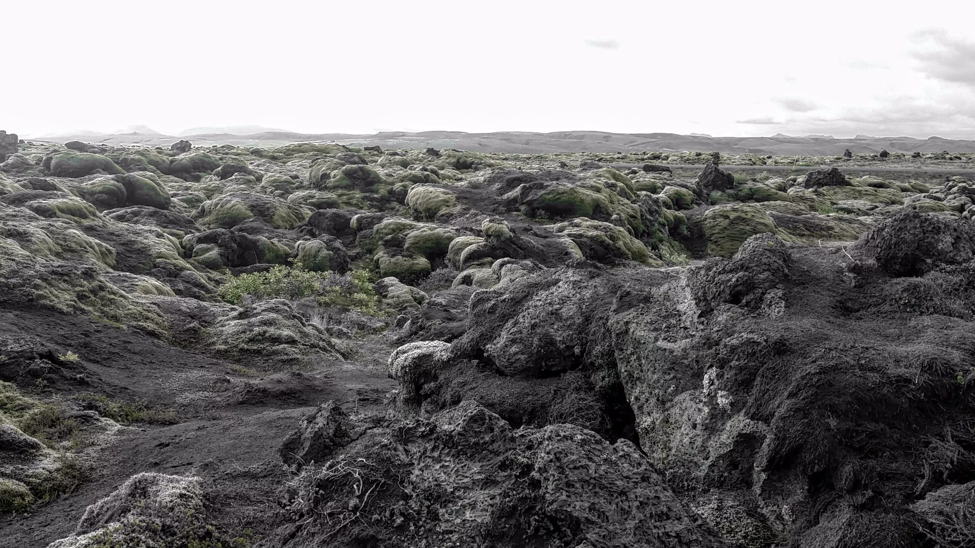 When driving along the southern edge of the country, much of landscape is dominated by fields filled with ancient dried lava like this, shown in a color-altered photo. Moss and lichen are the first plant life forms to take root on the otherwise barren surface, breaking down the lava into soil on which more advanced plants and trees may someday grow.