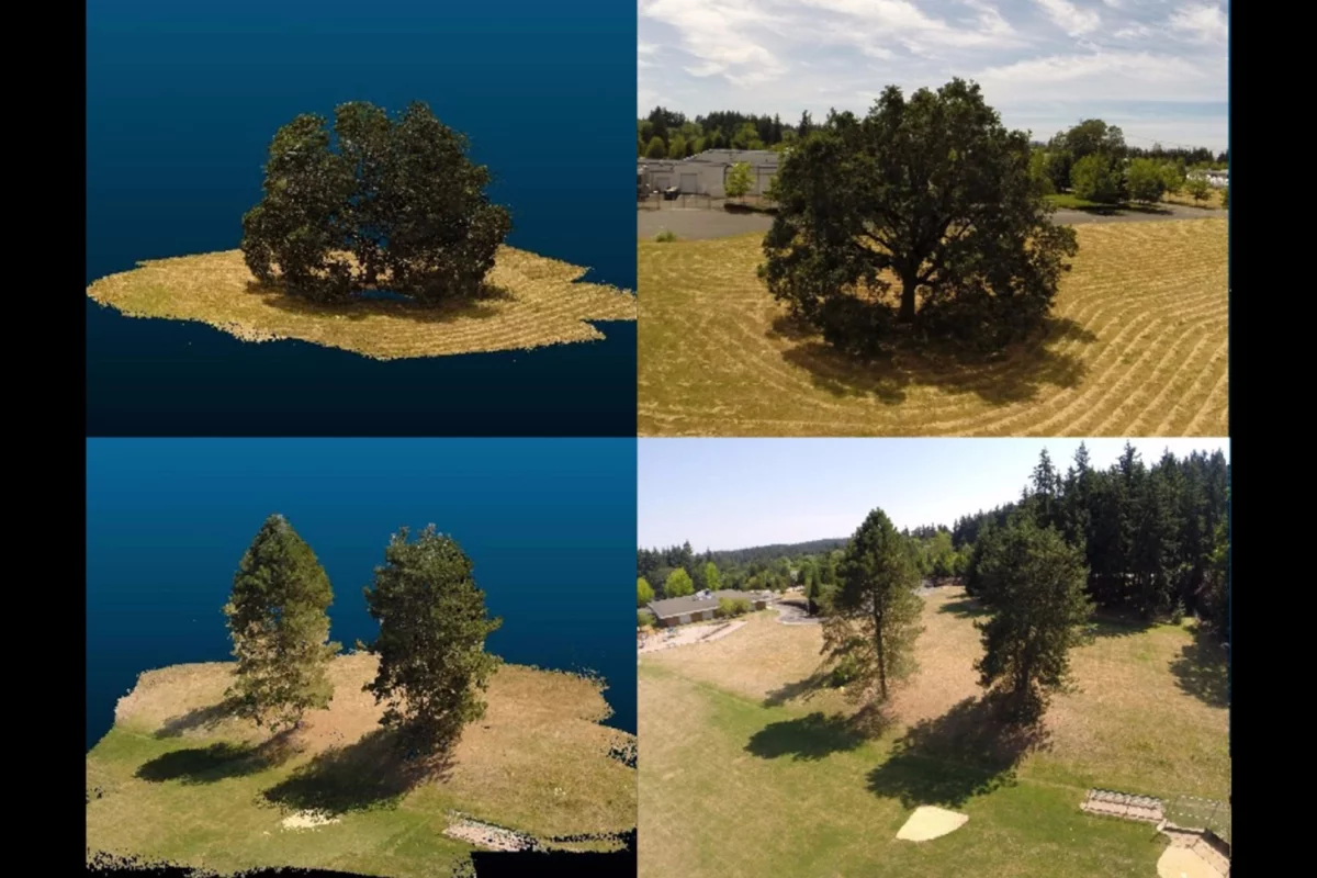 The forest simulator was developed partly from footage captured by aerial drones