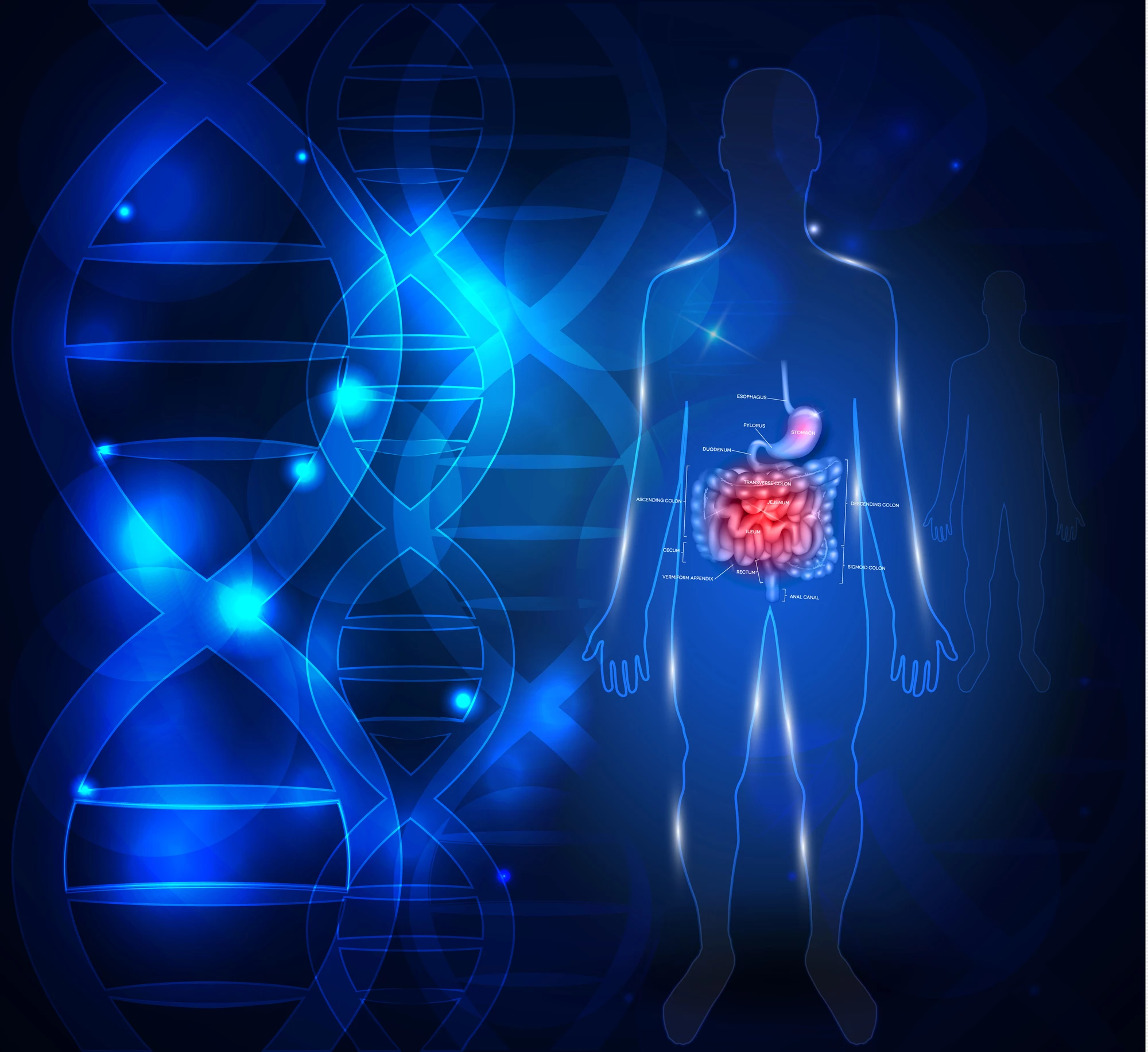 A single genetic variant may explain why anti-TNF drugs do not work in nearly 50 percent of Crohn's disease patients