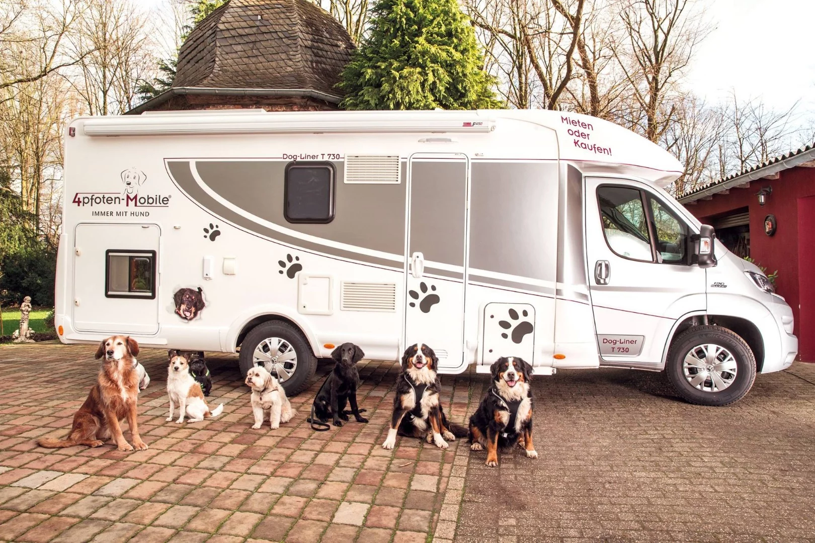 Dogs posing nicely in front of the 4pfoten Dog-Liner T 730