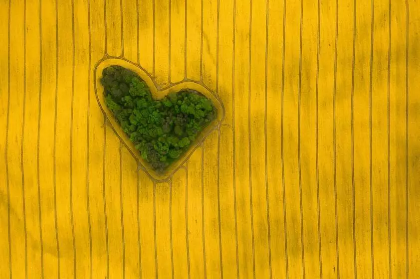 Winner in the Nature category. Island of Love