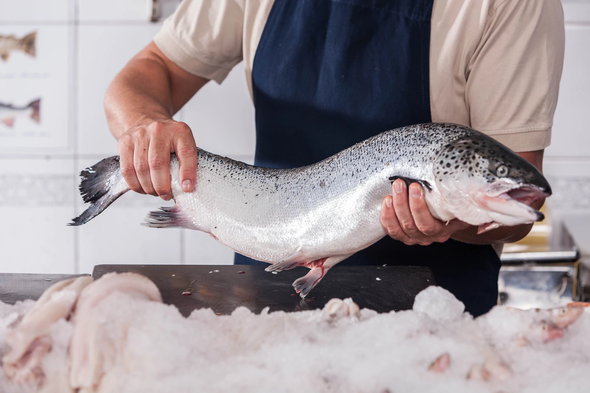New low-temperature processes extract more products from salmon leftovers