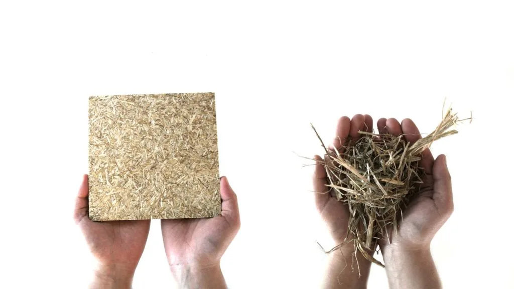 Board for the Biological House made from upcycled straw