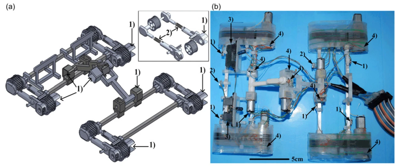 Three-dimensional layout of TBCP-II