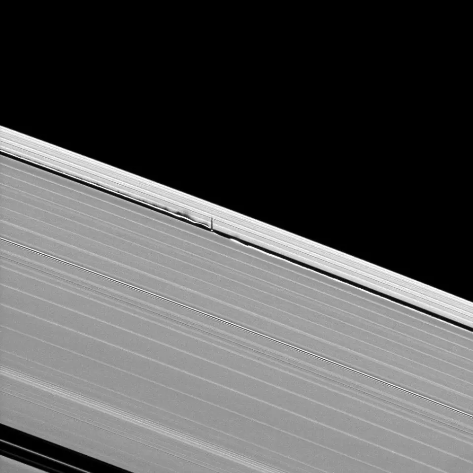 Saturn's moon Daphnis makes waves in the giant planet's rings as it orbits