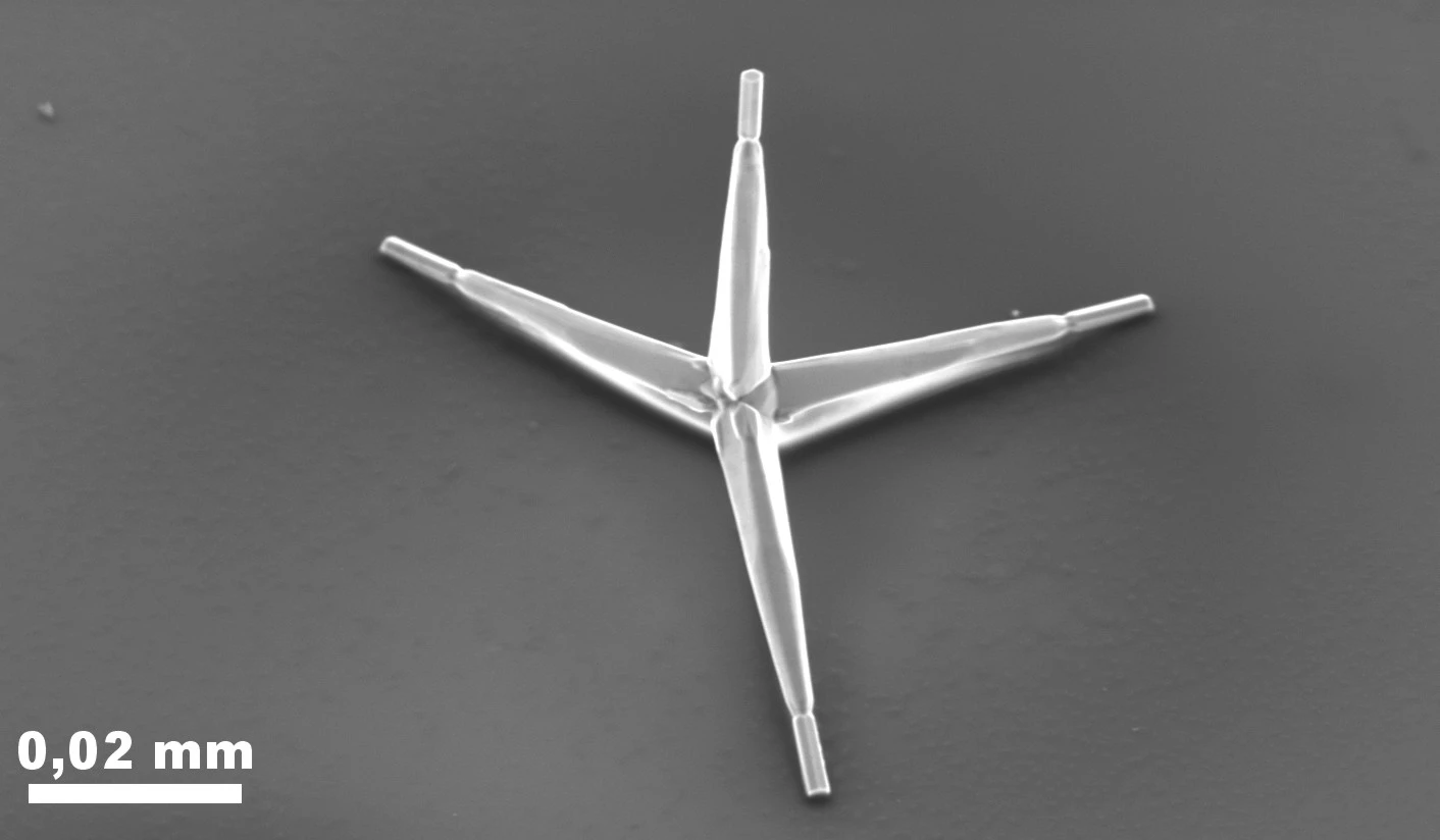One of the zinc oxide caltrops used as nano-staples (Image: Xin Jin, Copyright CAU)