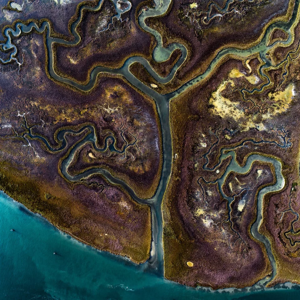 Colorful grasses and swirling tidal channels on one of the 62 small islands in the salt marshes of Lagoon Venice, the largest wetland in the Mediterranean Basin, Venice, Area Lio Piccolo, Italy