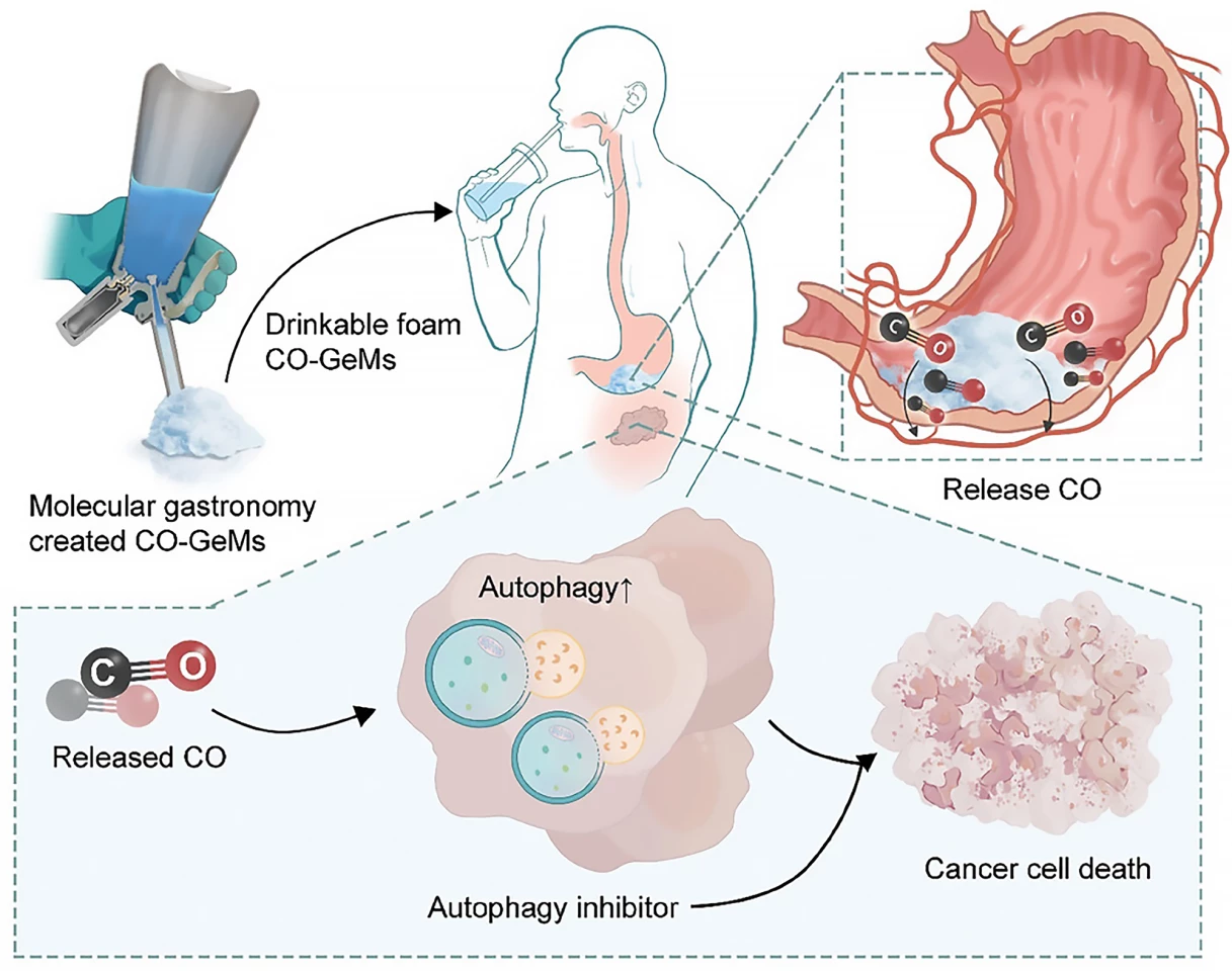 Schematic showing how CO-GeMs administered in combination with autophagy inhibitors reach their targets, resulting in cancer cell death