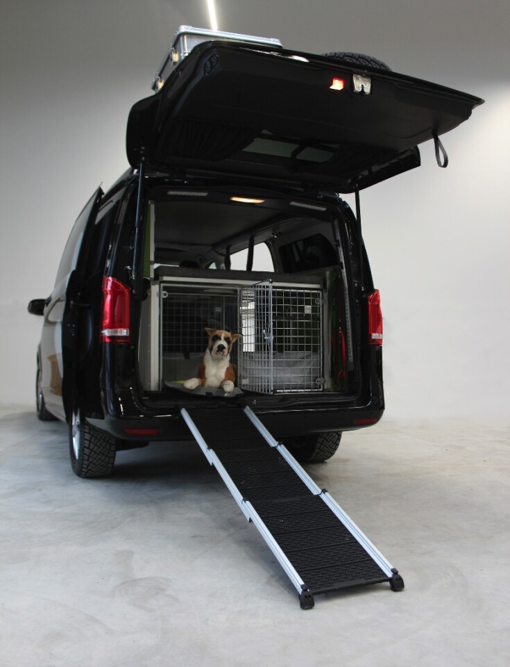 This modular camper van is one for the dogs (and their owners)