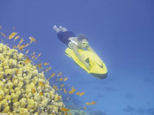 Seabob
