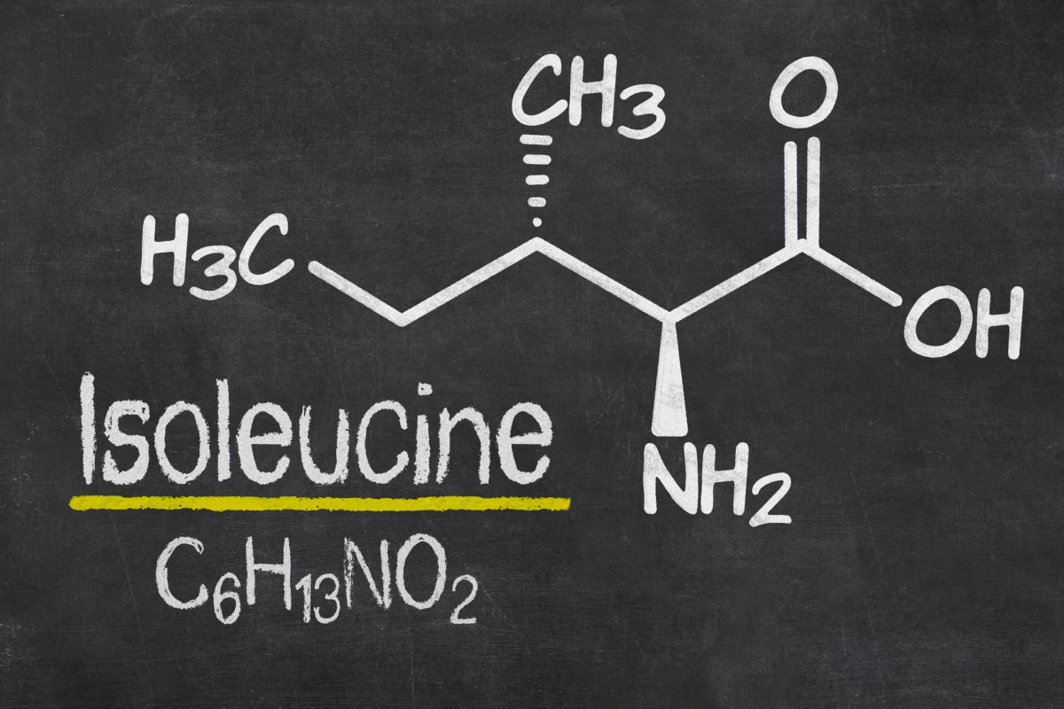 Reducing mice's intake of amino acid isoleucine produced improvements to longevity and health