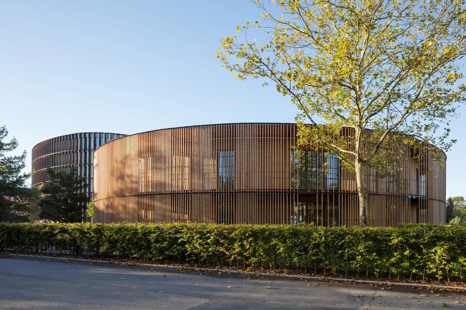 Freiburg Town Hall, in the Civic and Community - Completed Buildings category