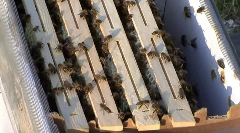 Open-source beehives can be downloaded and printed using a CNC router (Photo: Open Source Beehives)