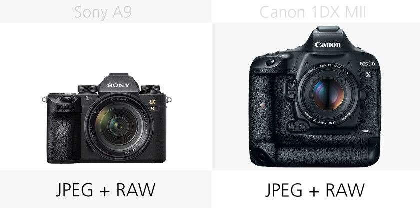 Comparing the photo file types of the Sony A9 and Canon 1DX Mark II