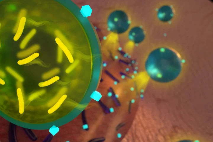 Probiotics and antibiotics have formed an uneasy alliance against superbugs
