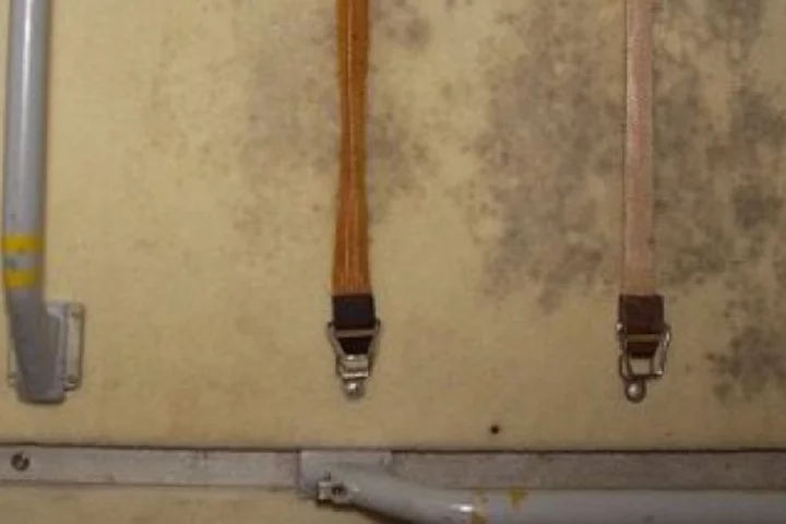 Mold grows on the International Space Station on a panel where exercise clothes were hung to dry