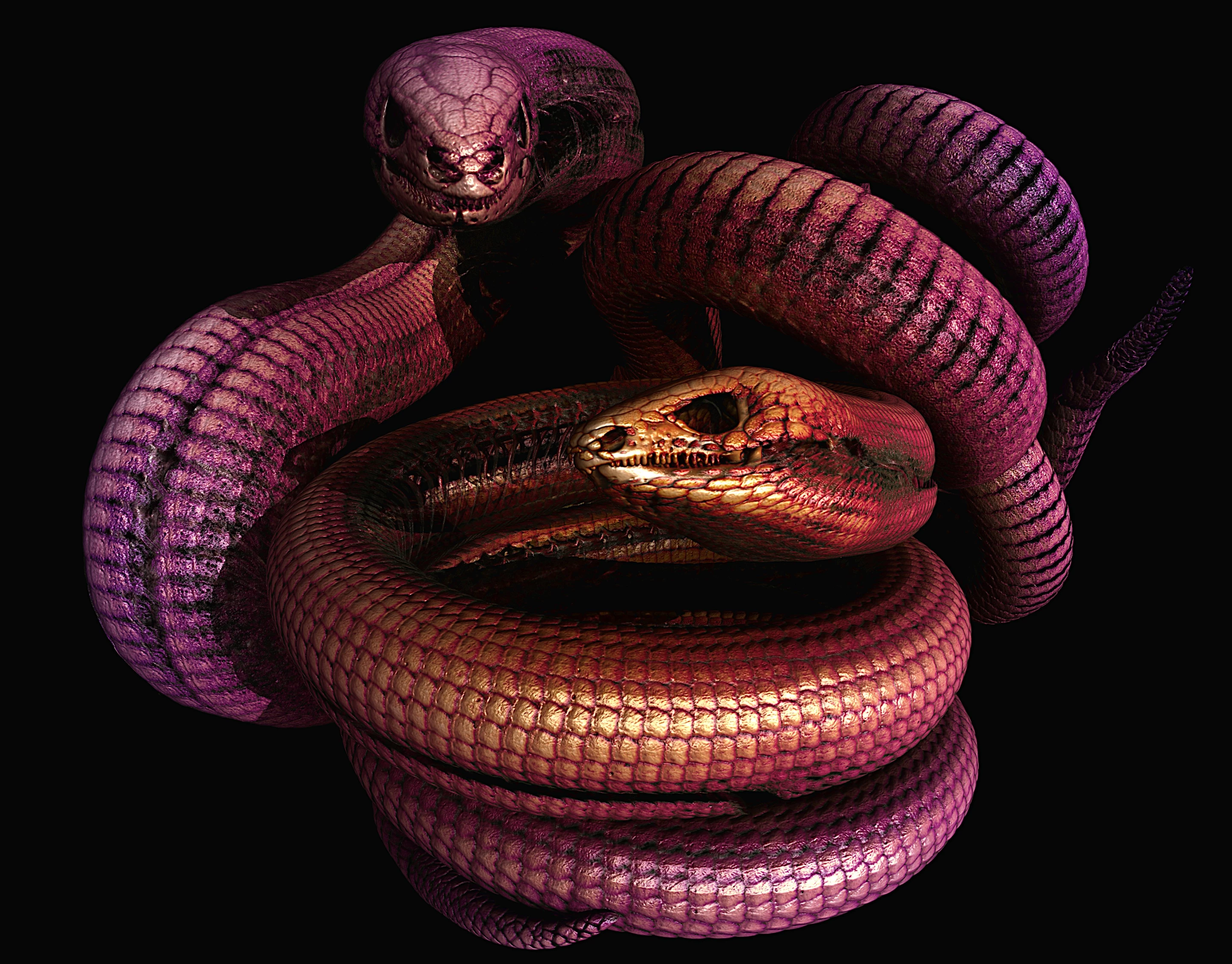 Including these glass lizards, several distantly related “worm lizards” have skin bone plates covering their bodies. We now know these evolved independently