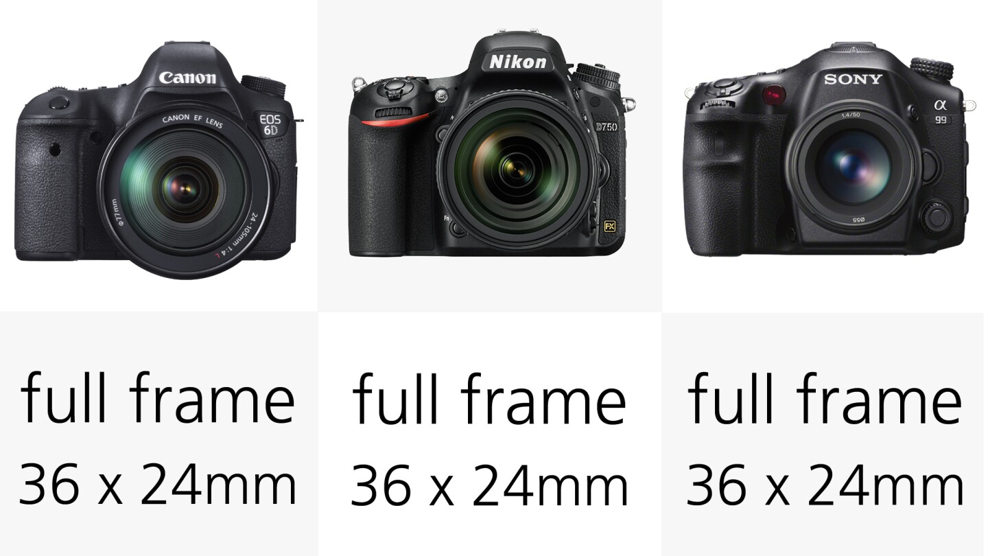 2014 Full Frame DSLR Comparison Guide