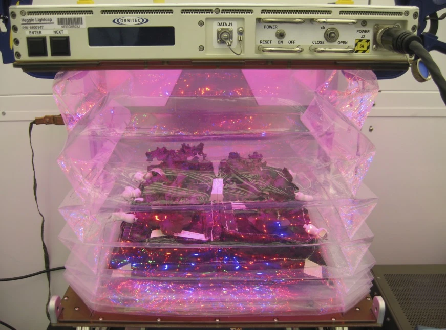 Veggie is designed to study plant growth in weightlessness (Photo: NASA)