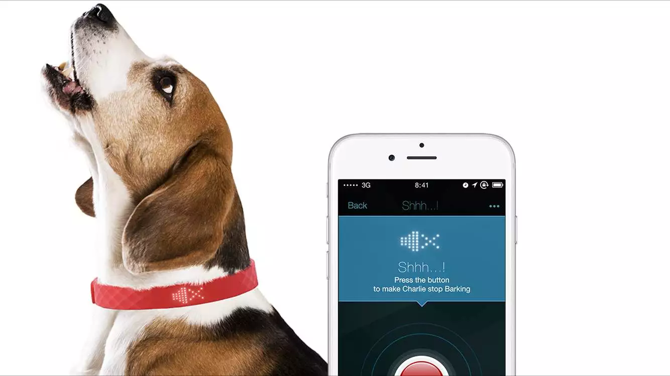 Barking dogs and dog fights are both dealt with using the collar's inbuilt ultrasonic module