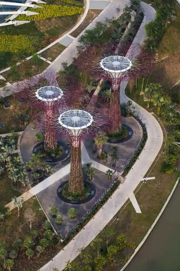 Magic Trees in the Gardens by the Bay, Singapore