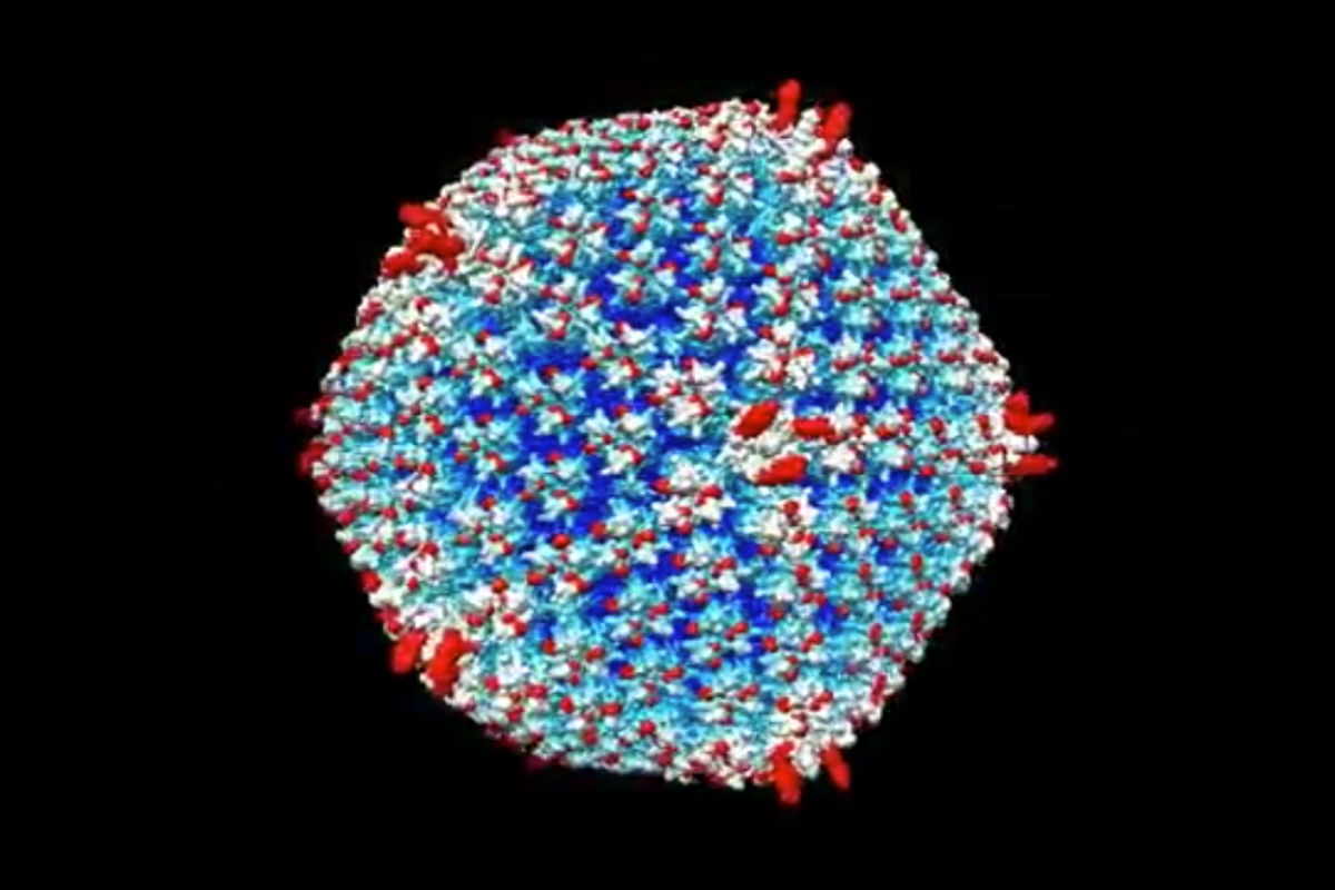 A 3D rendering of the adenovirus modified to avoid triggering the immune system