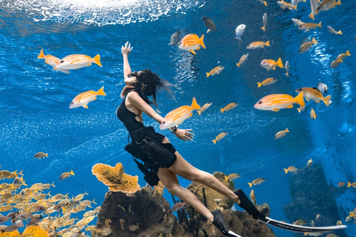 The Seakool D2 is presently on Indiegogo