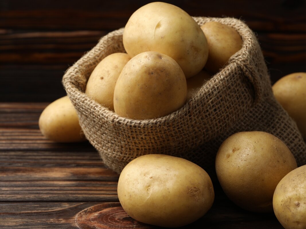 Potatoes may have given Indigenous Andeans digestive superpowers