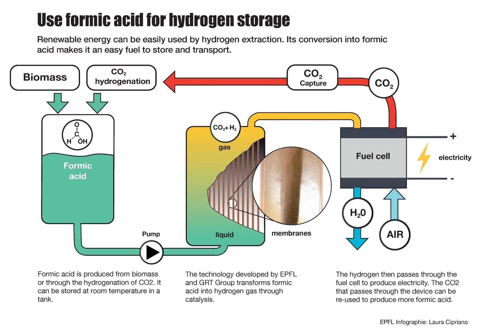 A diagram of how the EPFL team's formic acid fuel cell works