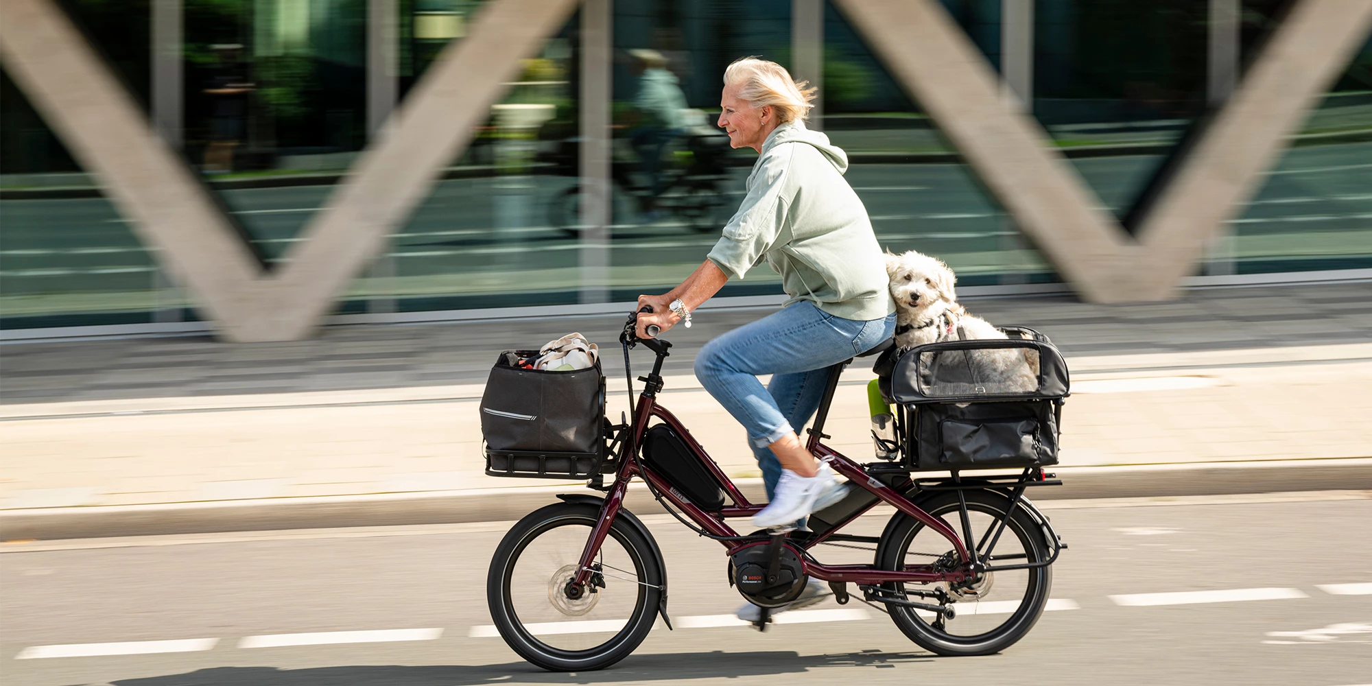 The Tern Quick Haul can create a fun outing with a cooperative pet
