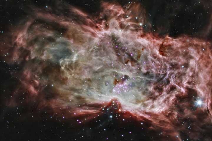 Composite image of the Flame Nebula, comprised of infrared and x-ray images (Image: NASA/CXC/PSU/K.Getman, E.Feigelson, M.Kuhn & the MYStIX team; Infrared: NASA/JPL-Caltech)