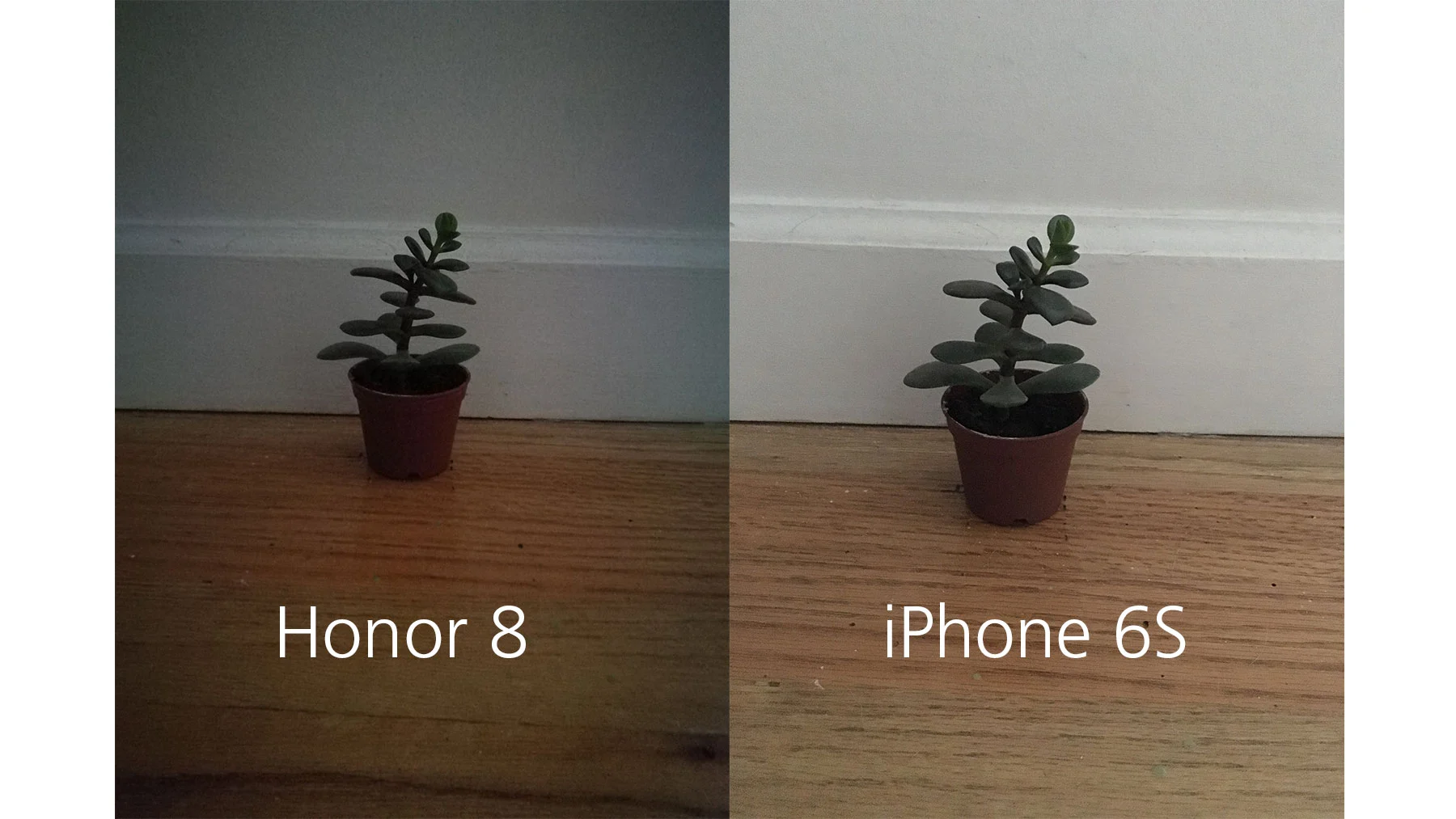 Both captures were made with the same lighting, with dramatically different results. The Honor 8 seems to put selfies above low-light shooting.