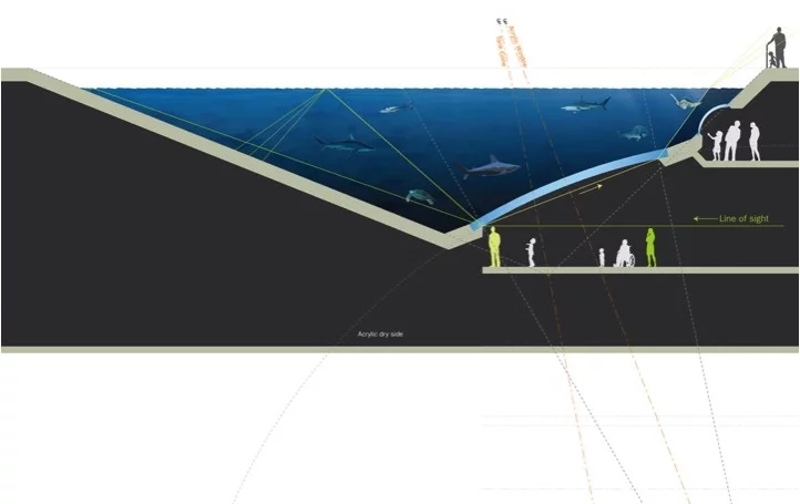 The Gulf Stream Tank has a 30 ft oculus at its bottom that allows visitors to look up into the tank