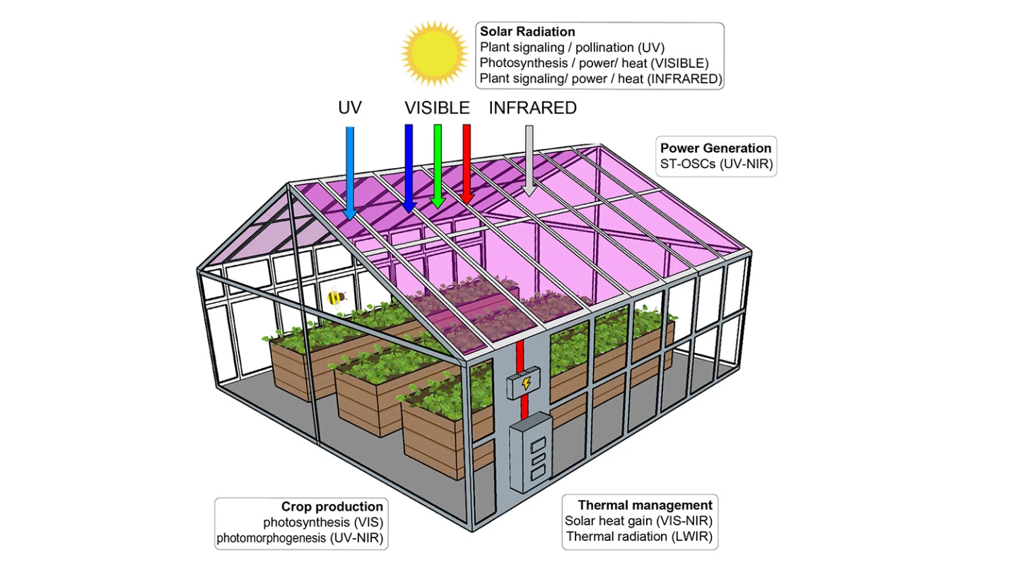 A diagram of the experimental setup