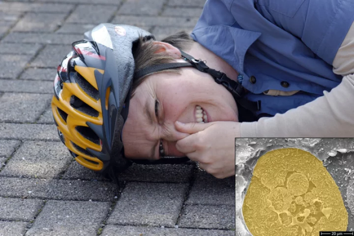 A cyclist with a stinky cracked helmet (Inset: one of the odoriferous microcapsules)