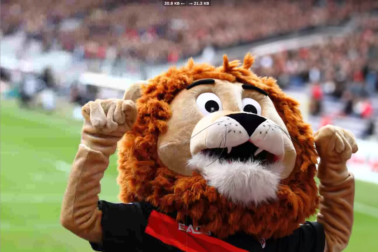 Heavily compressed JPEG (left) and heavily compressed BPG (right)