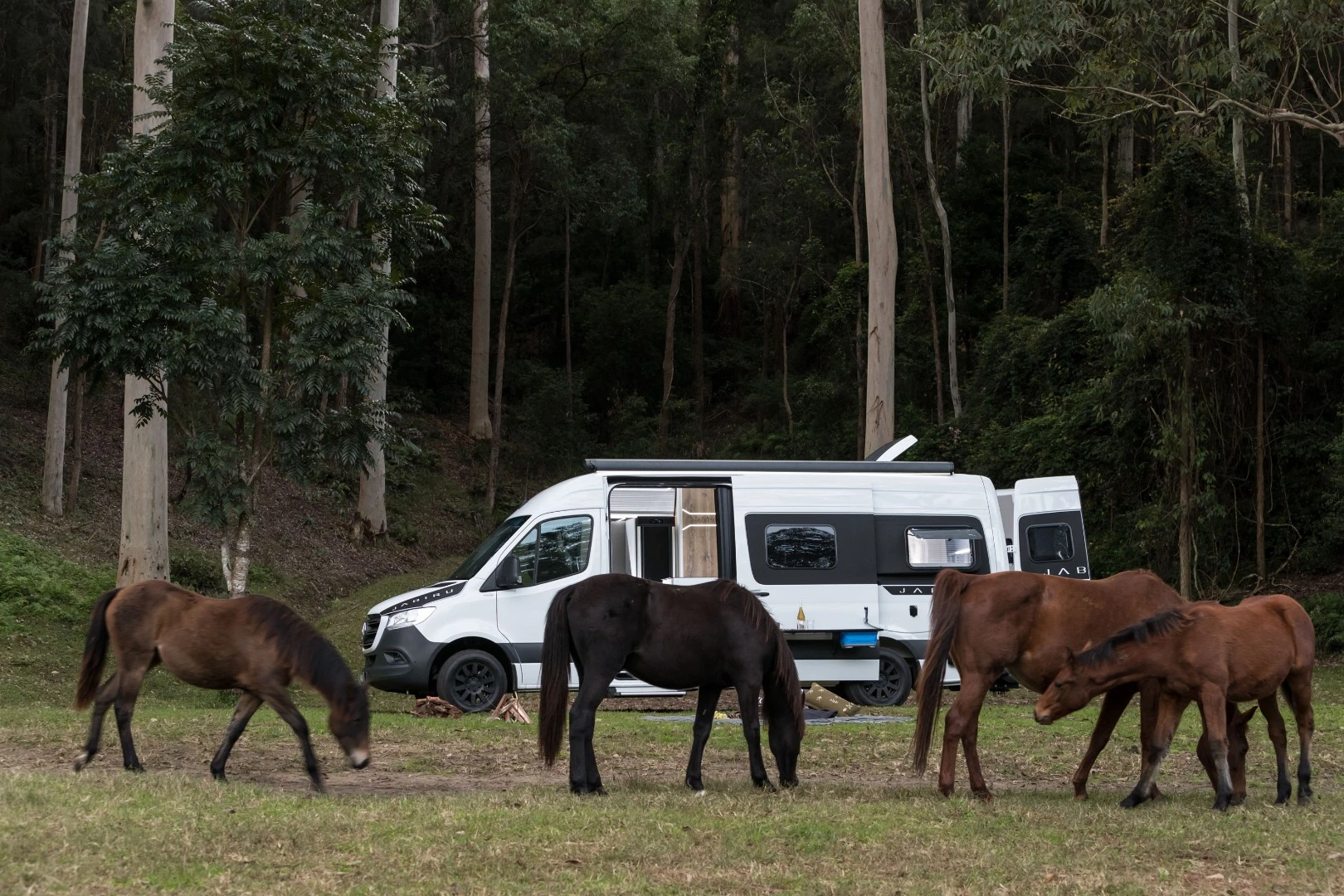 Enjoying some company at camp