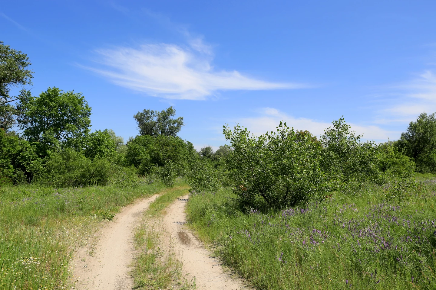You don't want to find yourself at the wrong end of a narrow track like this in a big camper van or expedition truck, but a Jeep Wrangler Unlimited with a pop-top can proceed confidently