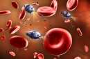 Nanobots and implants working in the human body could eventually communicate by releasing molecules into the bloodstream, according to a new proof-of-concept study