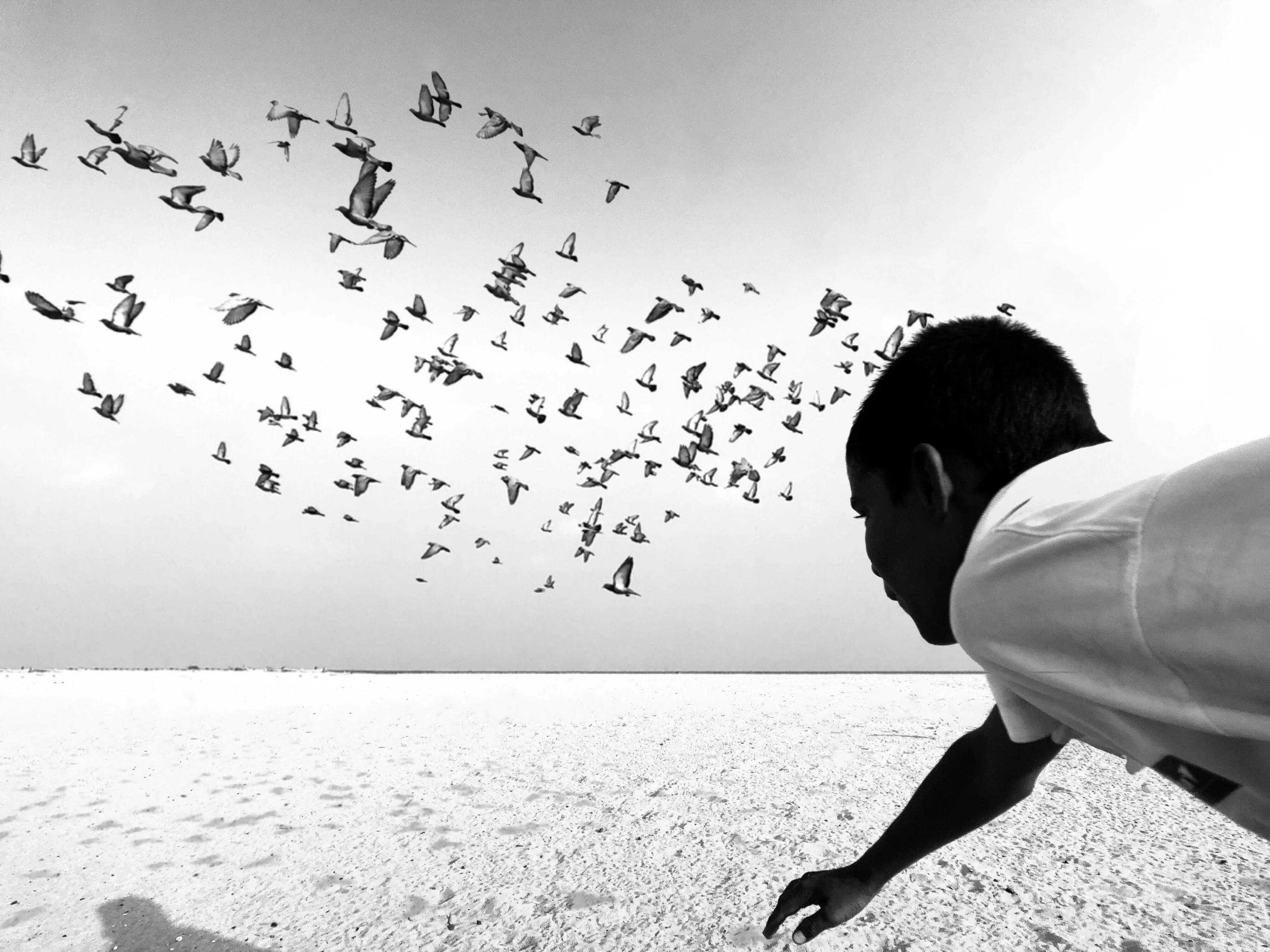 Winner Black & White, 'We Run, You Fly'. Taken with iPhone X